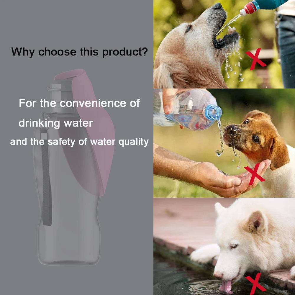 Dog Water Bottle: Hydration Made Easy for Adventures!