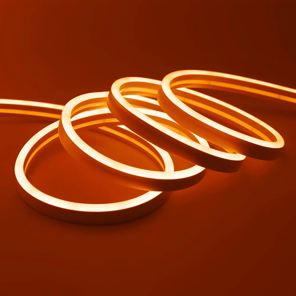 Solar LED Neon Strip Light 5m 10m DC 24V 120LED/m 2835 Flexible Lights 6x12mm Waterproofof
