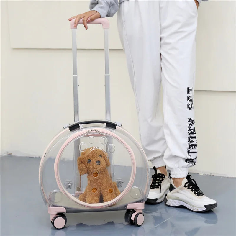 Pet Suitcase Transparent Trolley Case