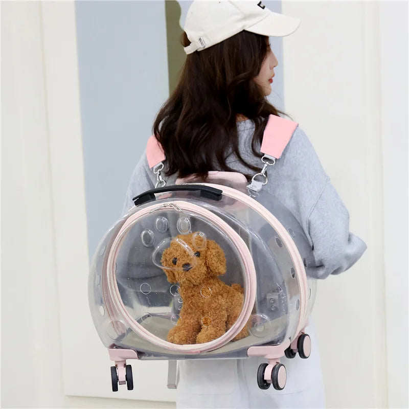 Pet Suitcase Transparent Trolley Case