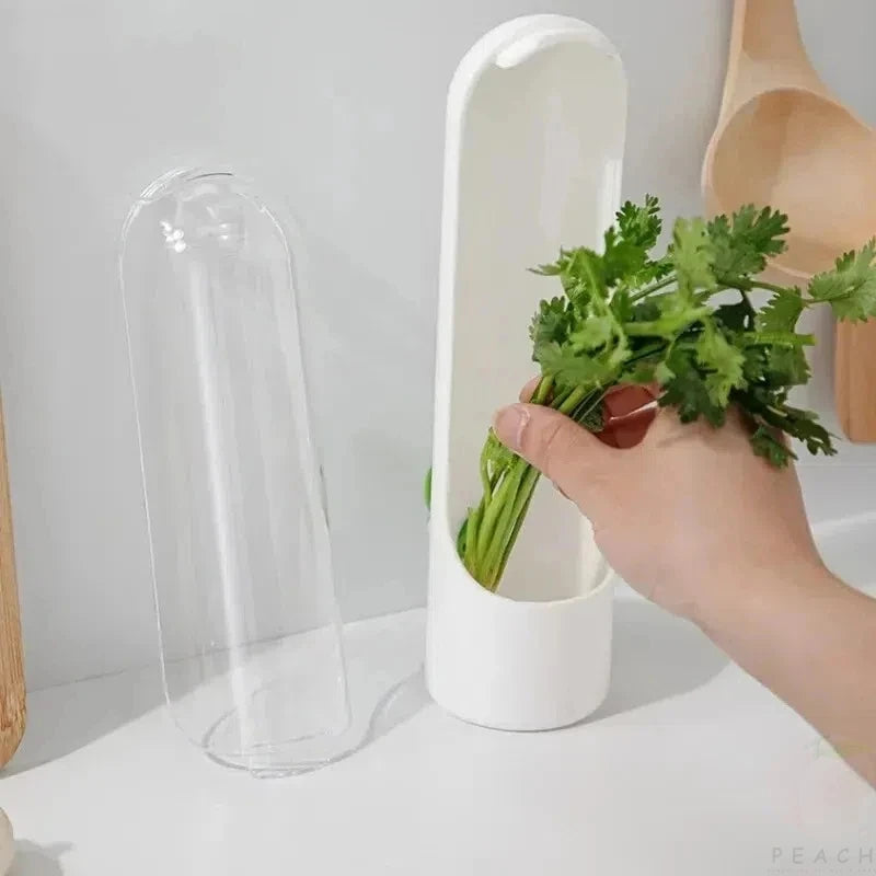 Caja de conservación de frutas y verduras frescas de vainilla transfronteriza, a prueba de polvo, antipresión, protección ambiental, dispositivo de conservación de frutas y verduras creativo