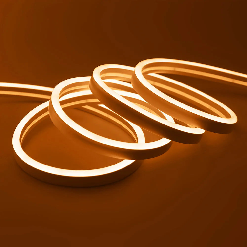 Solar LED Neon Strip Light 5m 10m DC 24V 120LED/m 2835 Flexible Lights 6x12mm Waterproofof