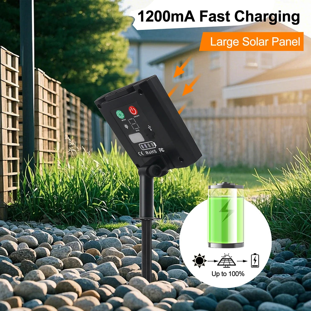 Solar LED Neon Strip Light 5m 10m DC 24V 120LED/m 2835 Flexible Lights 6x12mm Waterproofof