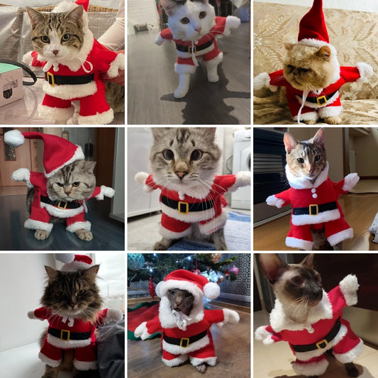 Funny Cat Costume For Christmas Festival Cute Santa Claus Cosplay Pet Jumpsuit