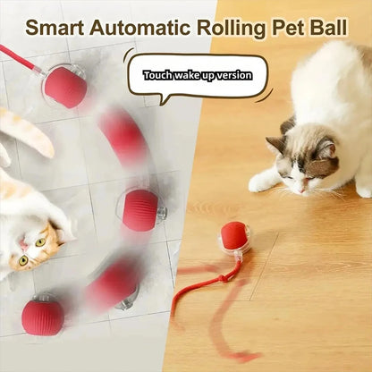 New Cat Interactive Ball Toy,Automatic Rolling Cat Ball Rechargeable