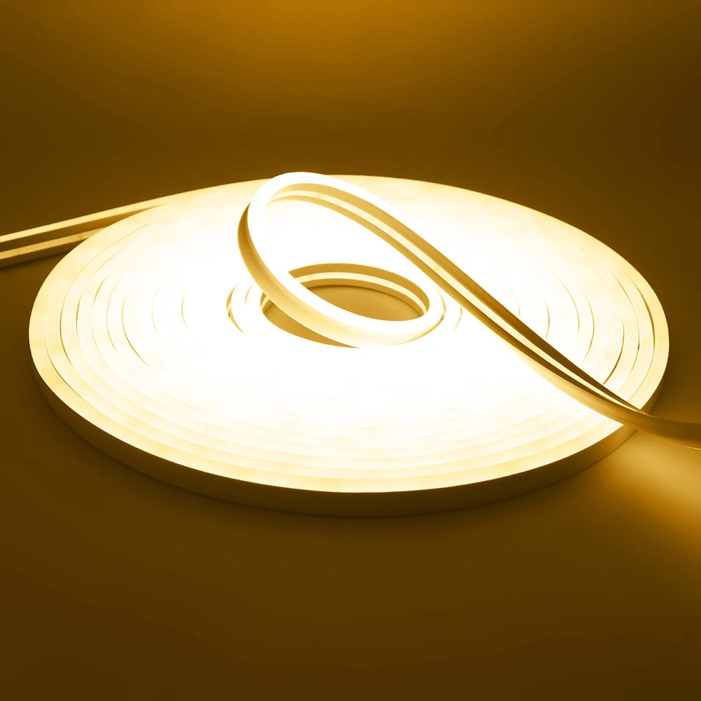 Solar LED Neon Strip Light 5m 10m DC 24V 120LED/m 2835 Flexible Lights 6x12mm Waterproofof