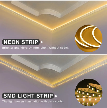 Black Silicone Tube Neon Light LED Strip with RF Remote Control/Sweep Motion/Touch Sensor
