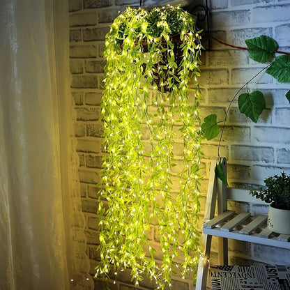 2 M 20 Light Always on Battery Box Willow Curtain Lamp Decorative