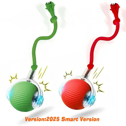 New Cat Interactive Ball Toy,Automatic Rolling Cat Ball Rechargeable