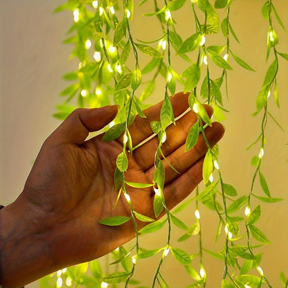 2 M 20 Light Always on Battery Box Willow Curtain Lamp Decorative