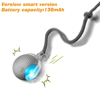 New Cat Interactive Ball Toy,Automatic Rolling Cat Ball Rechargeable