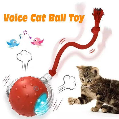 New Cat Interactive Ball Toy,Automatic Rolling Cat Ball Rechargeable