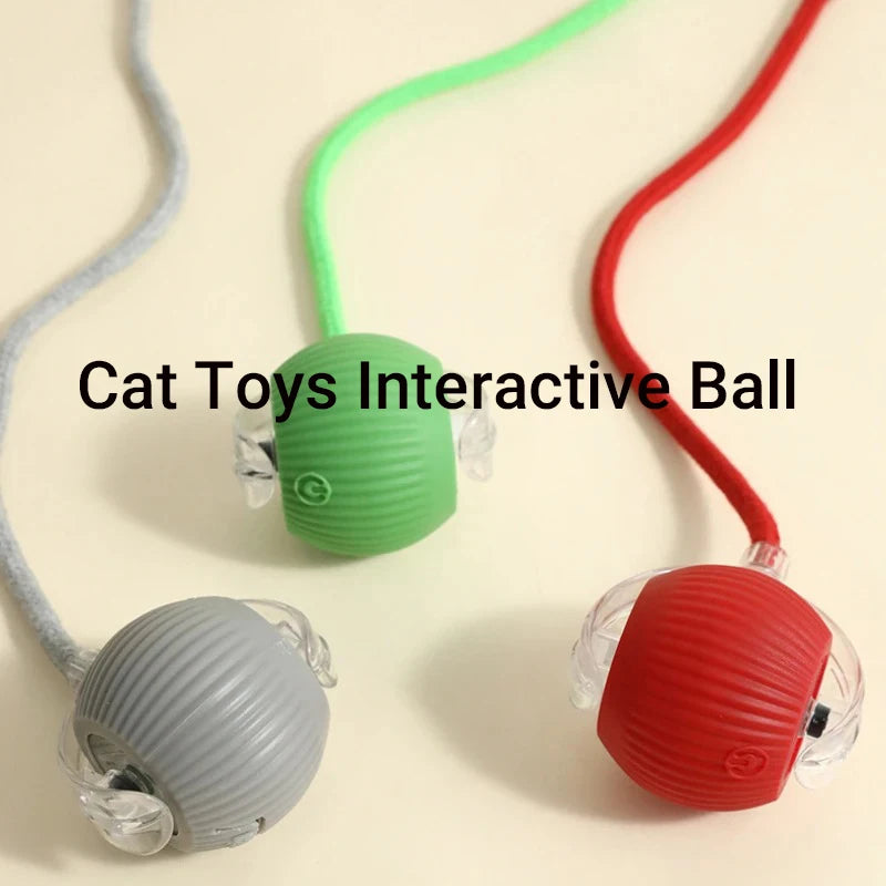 New Cat Interactive Ball Toy,Automatic Rolling Cat Ball Rechargeable