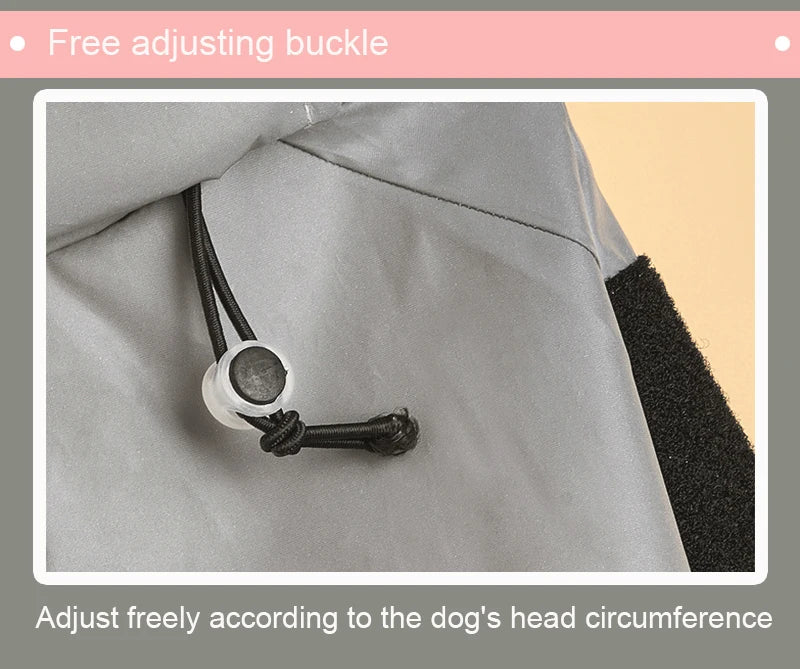 Keep Your Dog Stylish and Protected with Our Outdoor Large Dog Raincoat!