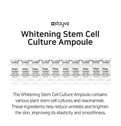 Kit Sérum Facial Branqueador Stayve BB Cream Glow Skin Booster Coreano com Peptídeos