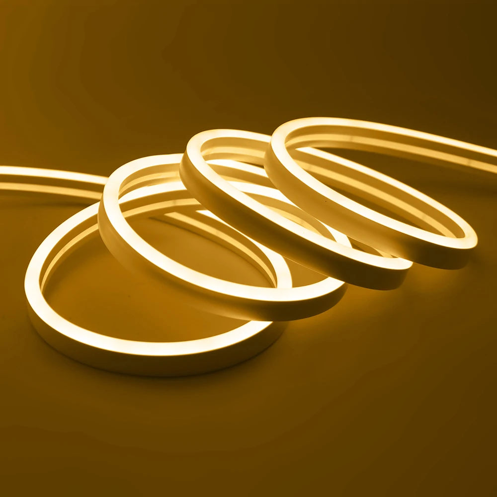 Solar LED Neon Strip Light 5m 10m DC 24V 120LED/m 2835 Flexible Lights 6x12mm Waterproofof