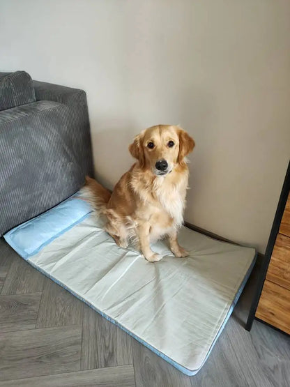 Summer Pet Cool Mattress Orthopedic Memory Foam