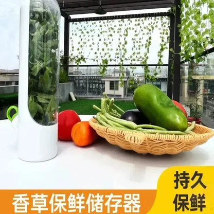 Caja de conservación de frutas y verduras frescas de vainilla transfronteriza, a prueba de polvo, antipresión, protección ambiental, dispositivo de conservación de frutas y verduras creativo