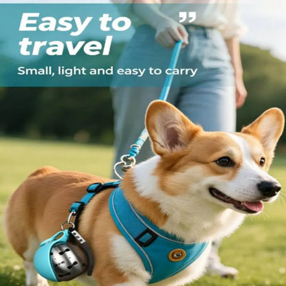 Pet Portable 285ML Water Bottle 304 Stainless Steel Foldable Basin Food-Grade Silicone Blue Pink Outdoor Pet Drinking Solution