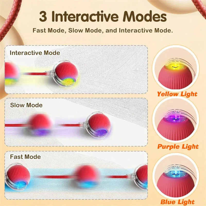 New Cat Interactive Ball Toy,Automatic Rolling Cat Ball Rechargeable