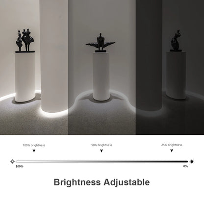 Black Silicone Tube Neon Light LED Strip with RF Remote Control/Sweep Motion/Touch Sensor