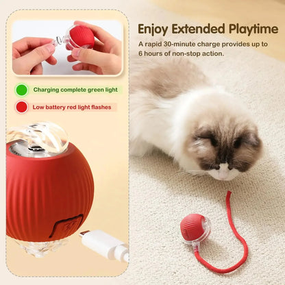 New Cat Interactive Ball Toy,Automatic Rolling Cat Ball Rechargeable