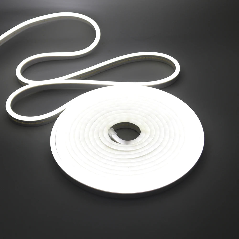 Solar LED Neon Strip Light 5m 10m DC 24V 120LED/m 2835 Flexible Lights 6x12mm Waterproofof