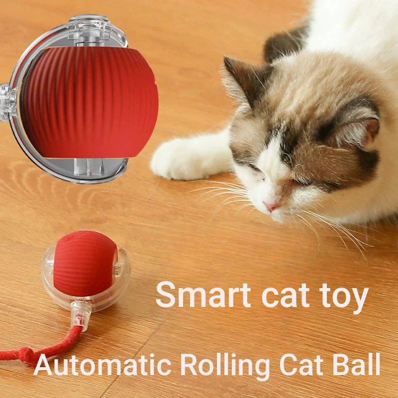 New Cat Interactive Ball Toy,Automatic Rolling Cat Ball Rechargeable