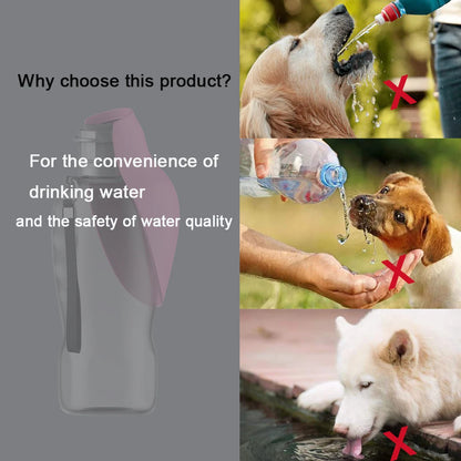 Dog Water Bottle: Hydration Made Easy for Adventures!