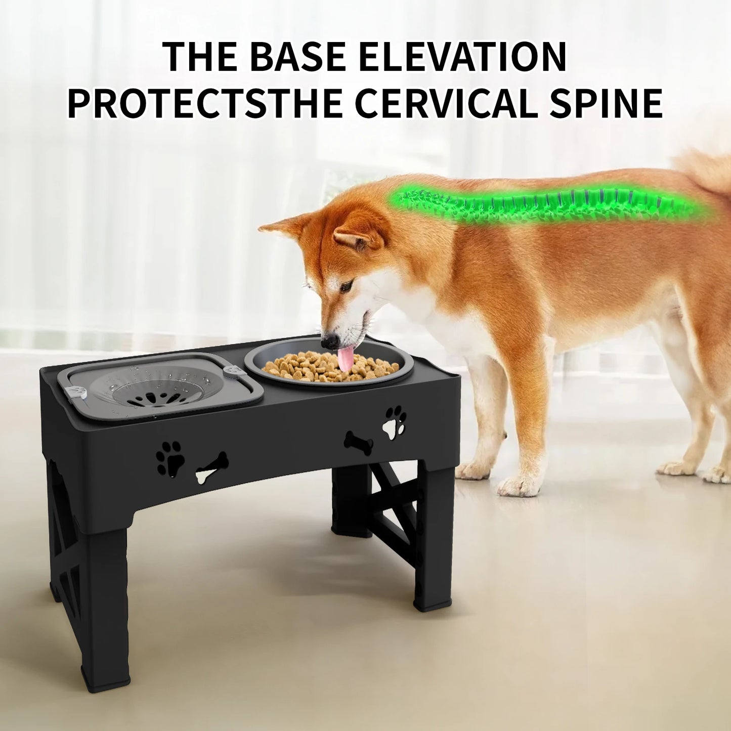 Enhance Mealtime with Our 3-in-1 Pet Feeder!