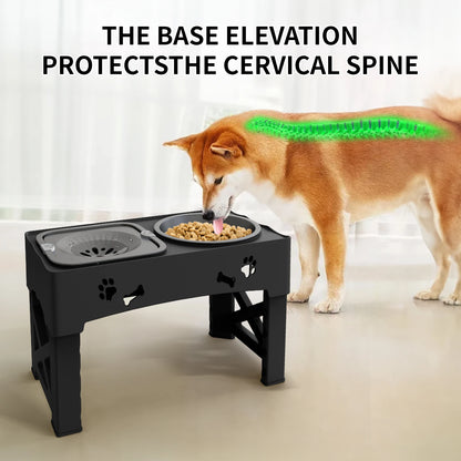 Enhance Mealtime with Our 3-in-1 Pet Feeder!