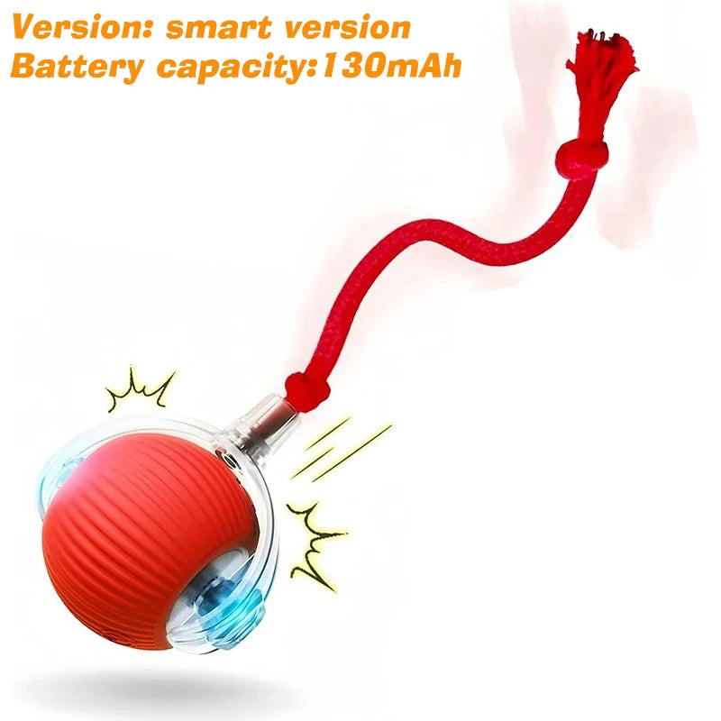 New Cat Interactive Ball Toy,Automatic Rolling Cat Ball Rechargeable