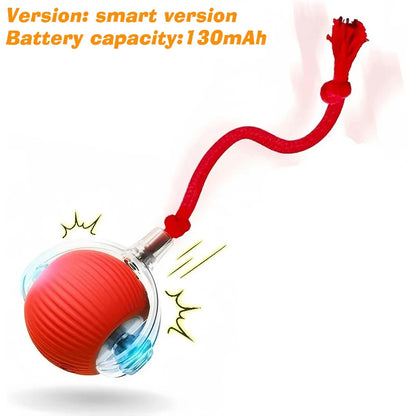 New Cat Interactive Ball Toy,Automatic Rolling Cat Ball Rechargeable