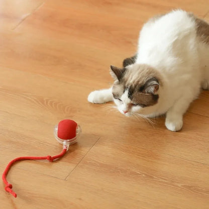New Cat Interactive Ball Toy,Automatic Rolling Cat Ball Rechargeable