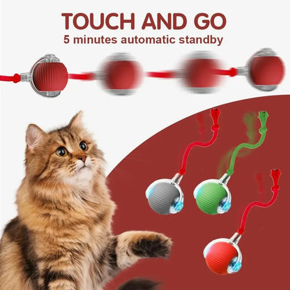 New Cat Interactive Ball Toy,Automatic Rolling Cat Ball Rechargeable