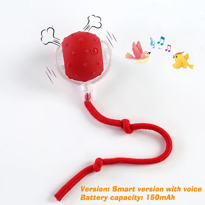 New Cat Interactive Ball Toy,Automatic Rolling Cat Ball Rechargeable