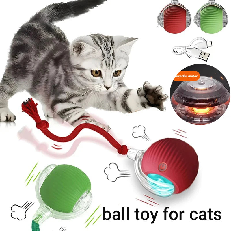 New Cat Interactive Ball Toy,Automatic Rolling Cat Ball Rechargeable