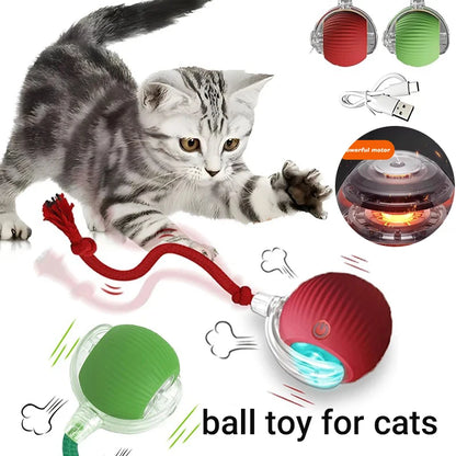 New Cat Interactive Ball Toy,Automatic Rolling Cat Ball Rechargeable