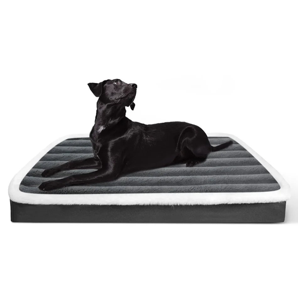 Give Your Pet the Comfort They Deserve with Our Dog Bed Mat!