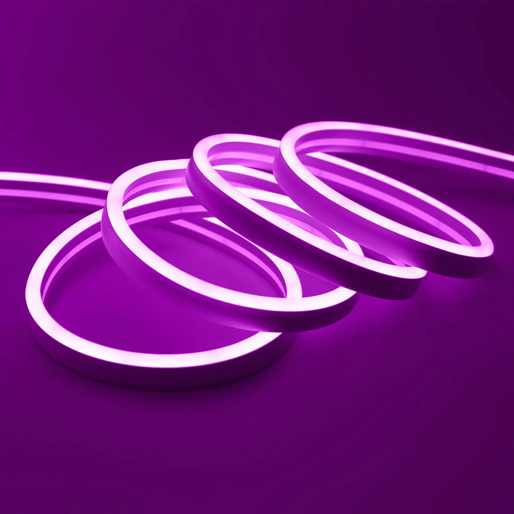 Solar LED Neon Strip Light 5m 10m DC 24V 120LED/m 2835 Flexible Lights 6x12mm Waterproofof