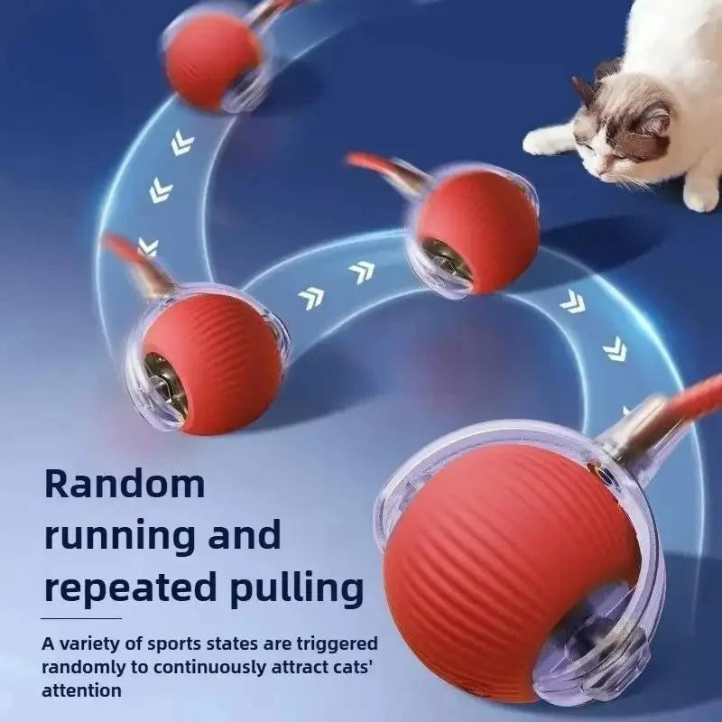 New Cat Interactive Ball Toy,Automatic Rolling Cat Ball Rechargeable