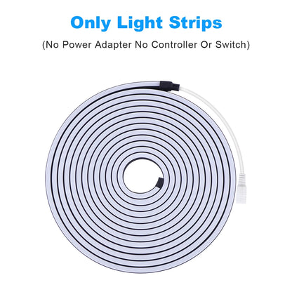 Black Silicone Tube Neon Light LED Strip with RF Remote Control/Sweep Motion/Touch Sensor