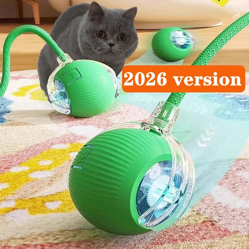 New Cat Interactive Ball Toy,Automatic Rolling Cat Ball Rechargeable