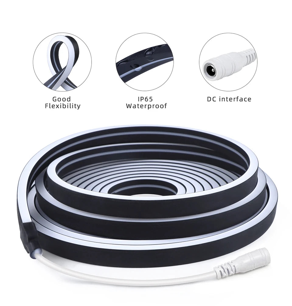 Black Silicone Tube Neon Light LED Strip with RF Remote Control/Sweep Motion/Touch Sensor