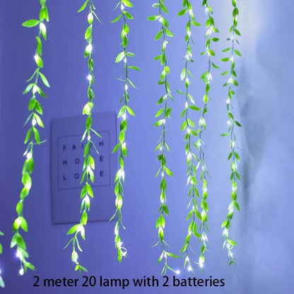 2 M 20 Light Always on Battery Box Willow Curtain Lamp Decorative