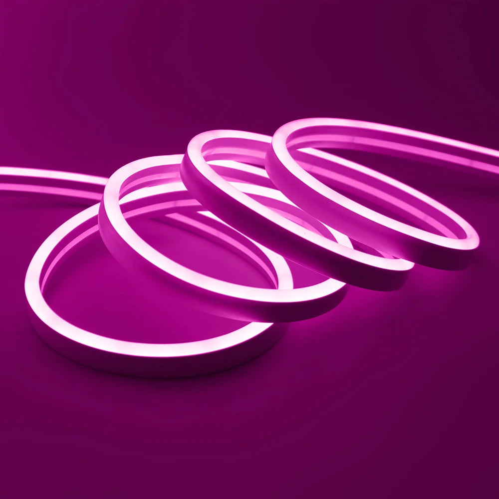 Solar LED Neon Strip Light 5m 10m DC 24V 120LED/m 2835 Flexible Lights 6x12mm Waterproofof