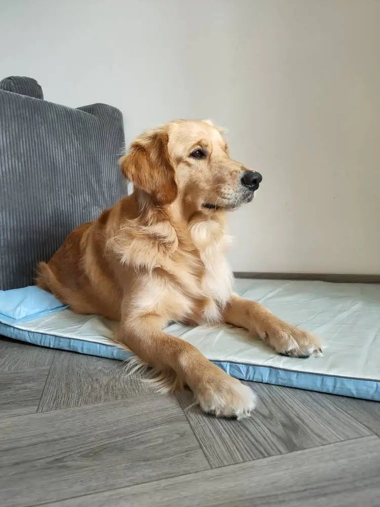 Summer Pet Cool Mattress Orthopedic Memory Foam