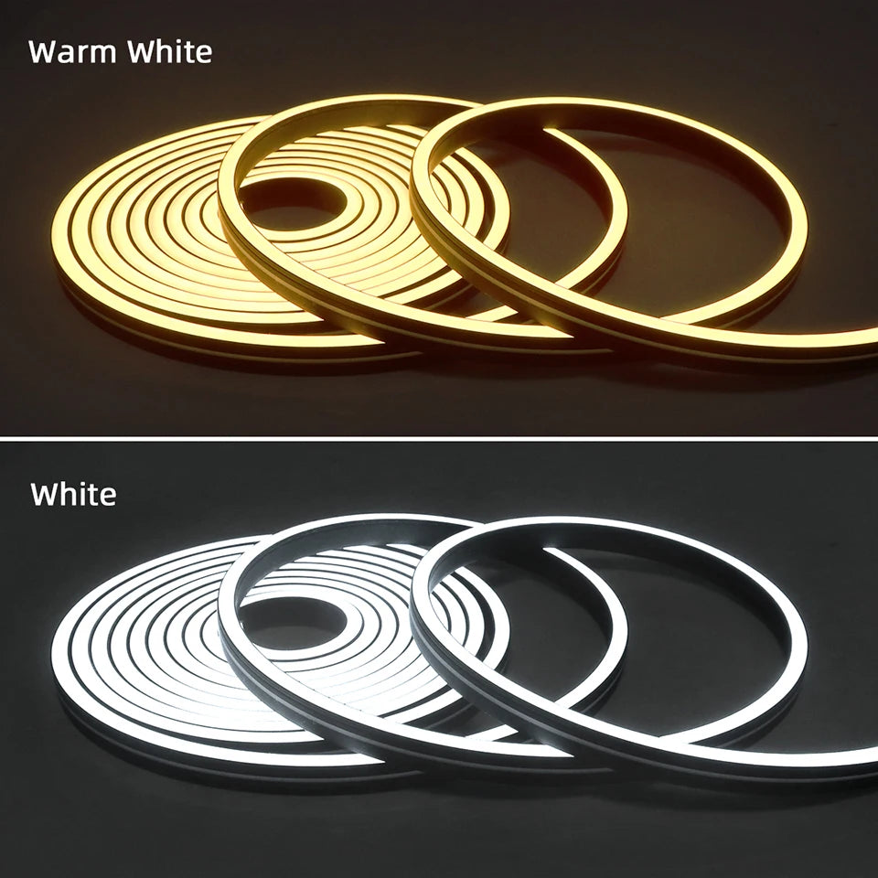 Black Silicone Tube Neon Light LED Strip with RF Remote Control/Sweep Motion/Touch Sensor