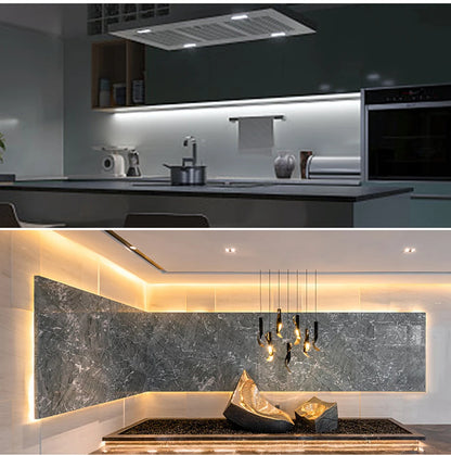 Black Silicone Tube Neon Light LED Strip with RF Remote Control/Sweep Motion/Touch Sensor