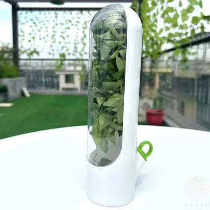 Caixa para Conservação de Vegetais Frescos com Estampado de Baunilha, Resistente ao Pó e à Pressão, Ideal para Transporte Internacional